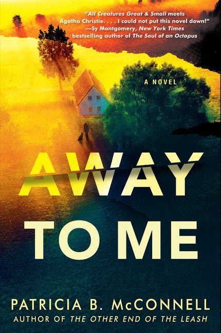 Away to Me - iShook Books