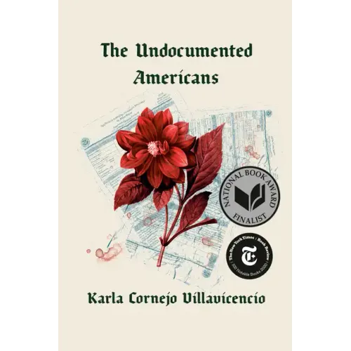 The Undocumented Americans