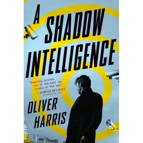 A Shadow Intelligence