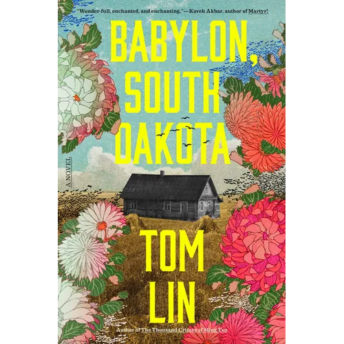 Babylon, South Dakota - Hardcover - iShook Books