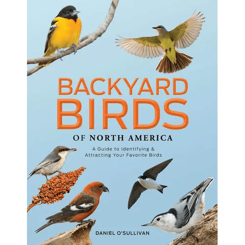 Backyard Birds of North America: A Guide to Identifying and Attracting Your Favorite Birds - Hardcover - iShook Books