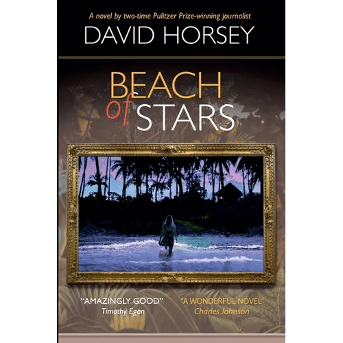 Beach of Stars - Paperback - iShook Books