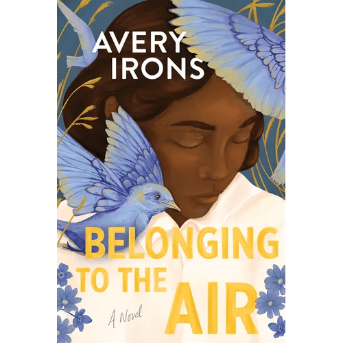 Belonging to the Air - Hardcover - iShook Books