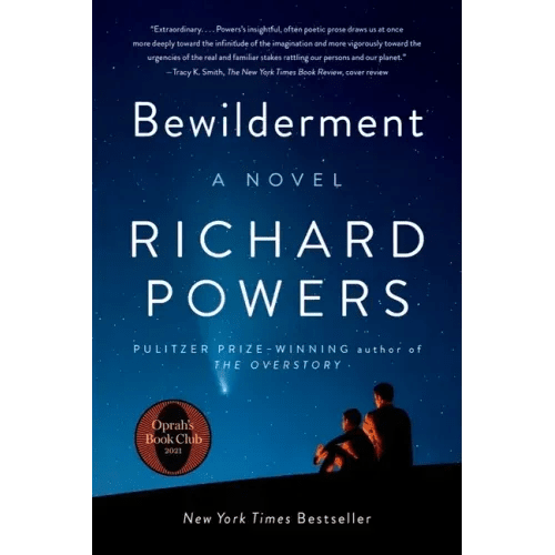 Bewilderment - Paperback - iShook Books