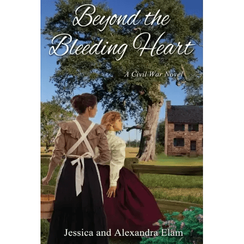 Beyond the Bleeding Heart: A Tale of the American Civil War - Paperback - iShook Books