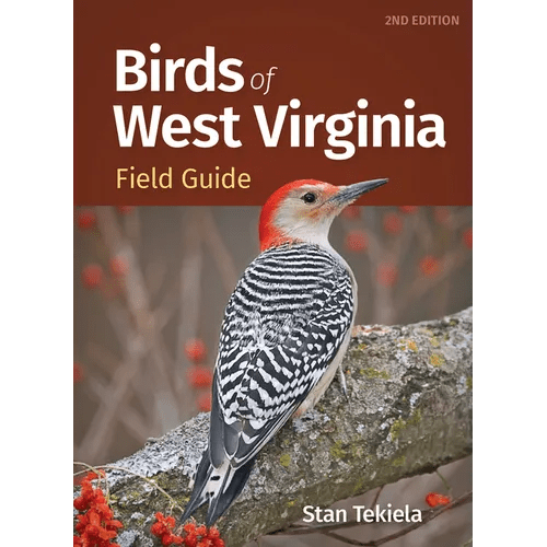 Birds of West Virginia Field Guide - Paperback - iShook Books