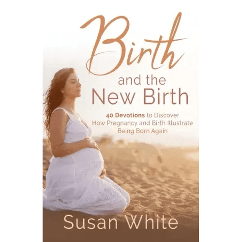 Birth and the New Birth: 40 Devotions to Discover How Pregnancy and Birth Illustrate Being Born Again - Paperback - iShook Books