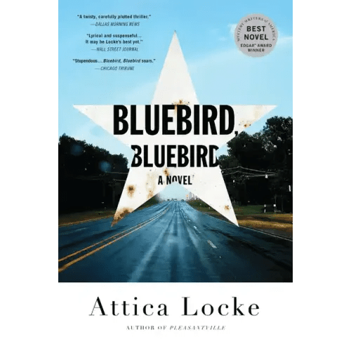 Bluebird, Bluebird - Paperback - iShook Books