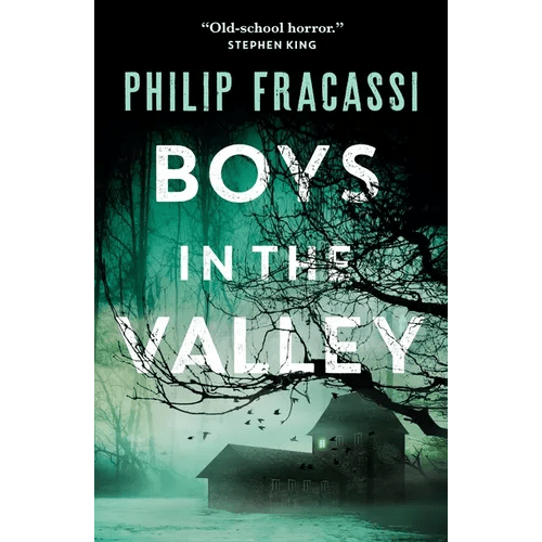 Boys in the Valley - Paperback - iShook Books