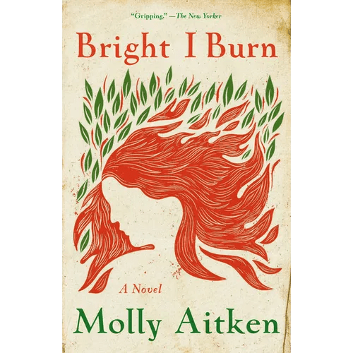 Bright I Burn - Paperback - iShook Books