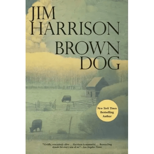 Brown Dog - Paperback - iShook Books