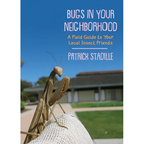 Bugs in Your Neighborhood: A Field Guide to Your Local Insect Friends - Paperback - iShook Books