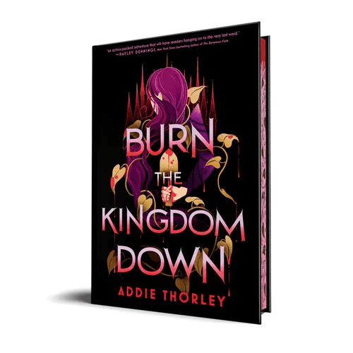 Burn the Kingdom Down - Hardcover - iShook Books