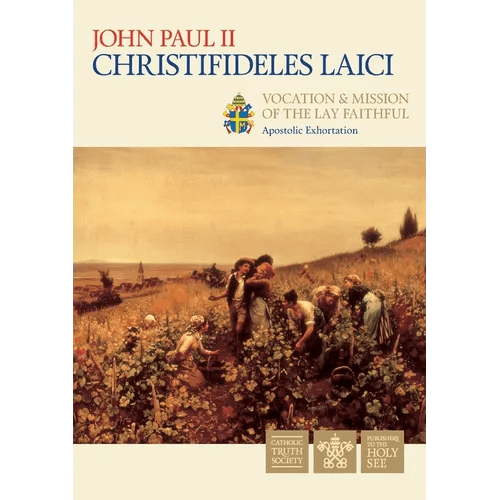 Christifideles Laici - Paperback - iShook Books