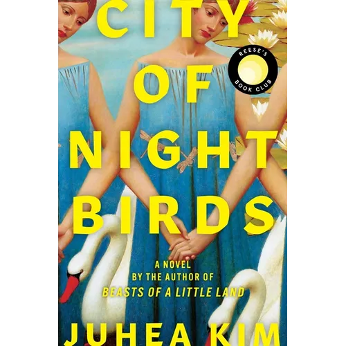 City of Night Birds - Hardcover - iShook Books