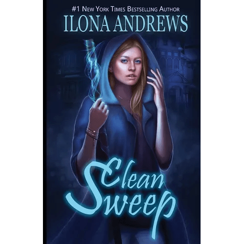 Clean Sweep - Paperback - iShook Books