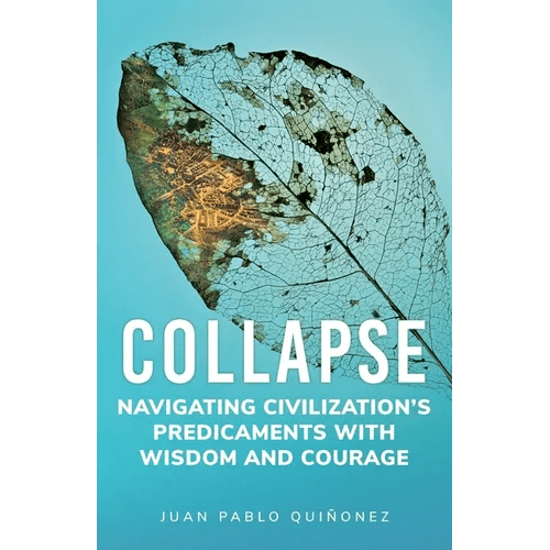 Collapse: Navigating Civilization's Predicaments With Wisdom and Courage - Paperback - iShook Books