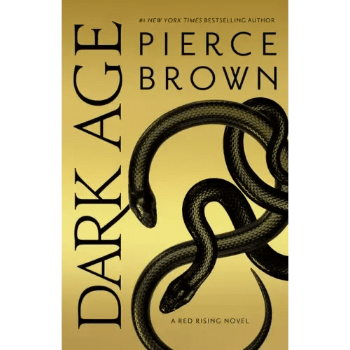 Dark Age - Hardcover - iShook Books