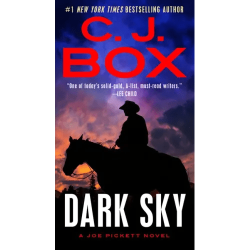 Dark Sky - Paperback - iShook Books