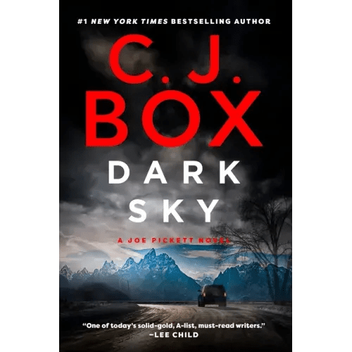Dark Sky - Paperback - iShook Books