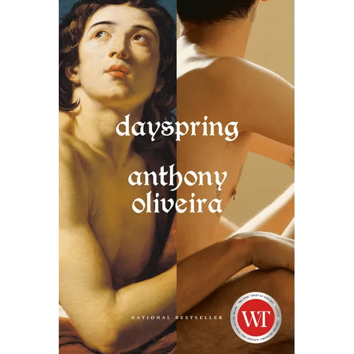 Dayspring - Paperback - iShook Books