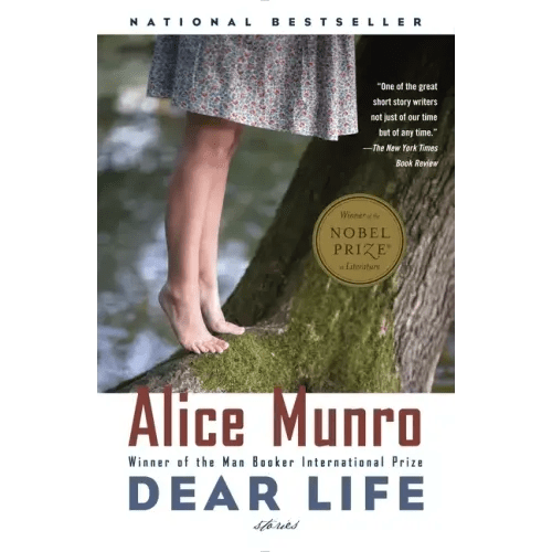 Dear Life: Stories - Paperback - iShook Books