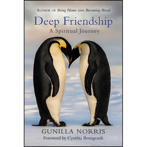 Deep Friendship: A Spiritual Journey - Paperback - iShook Books