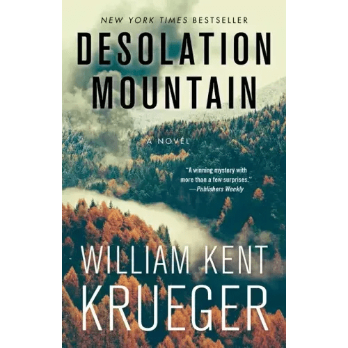 Desolation Mountain - Paperback - iShook Books