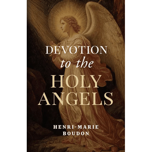 Devotion to the Holy Angels - Paperback - iShook Books