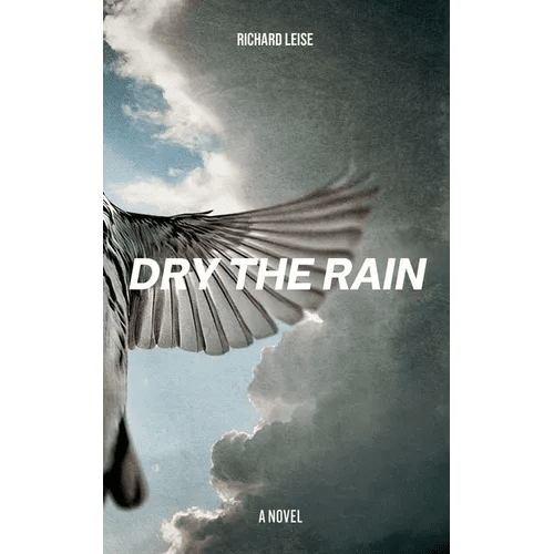 Dry The Rain - Paperback - iShook Books