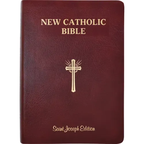 St. Joseph New Catholic Bible