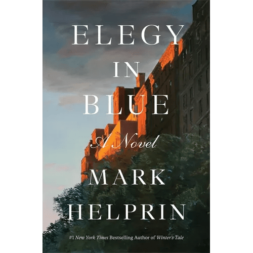 Elegy in Blue - Hardcover - iShook Books