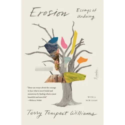 Erosion: Essays of Undoing - Paperback - iShook Books