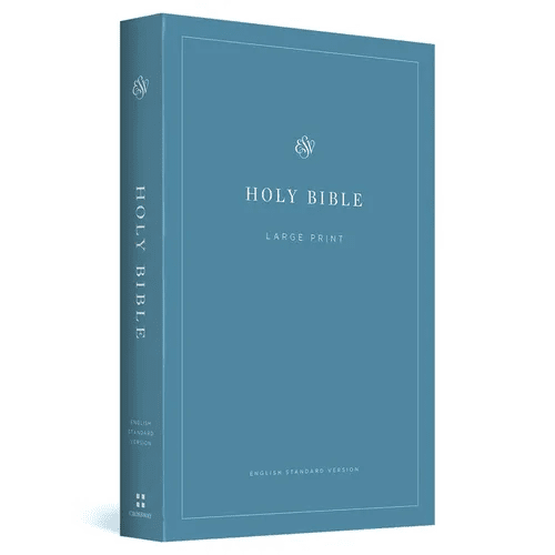 ESV Economy Bible, Large Print (Paperback) - Paperback - iShook Books