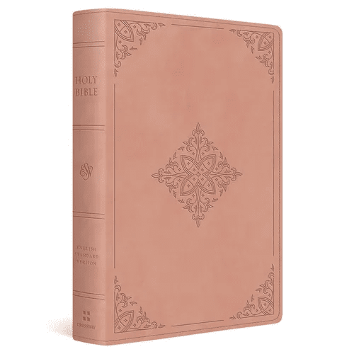 ESV Giant Print Bible, Red Letter (Trutone, Blush Rose, Fleur - De - Lis Design) - Imitation Leather - iShook Books