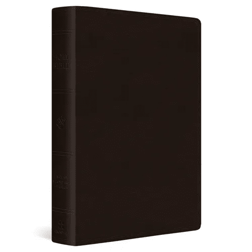 ESV Giant Print Bible, Red Letter (Trutone, Deep Brown) - Imitation Leather - iShook Books