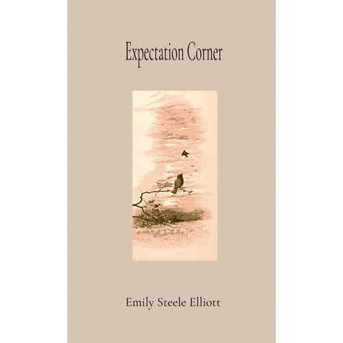 Expectation Corner ANNOTATED GIFT EDITION - Paperback - iShook Books