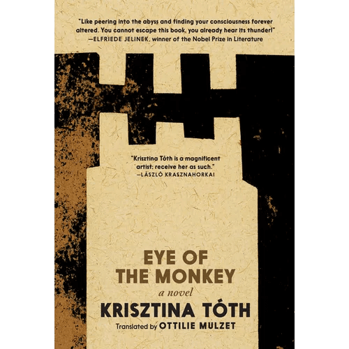 Eye of the Monkey - Paperback - iShook Books
