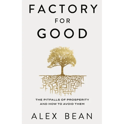 Factory for Good: The Pitfalls of Prosperity and How to Avoid Them - Paperback - iShook Books