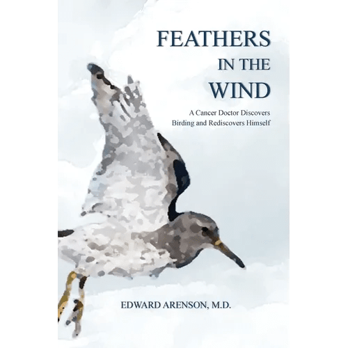 Feathers in the Wind - Paperback - iShook Books