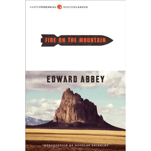 Fire on the Mountain - Paperback - iShook Books