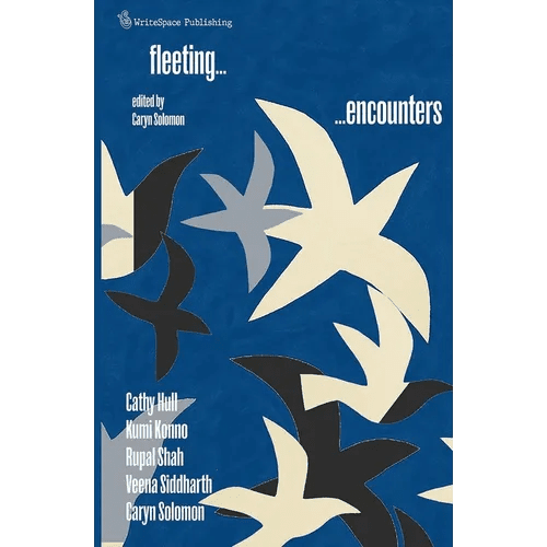 Fleeting Encounters - Paperback - iShook Books