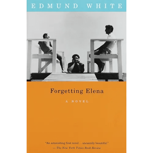 Forgetting Elena - Paperback - iShook Books