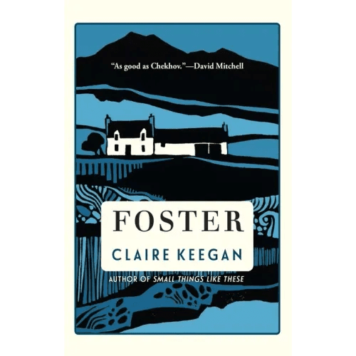 Foster - Hardcover - iShook Books