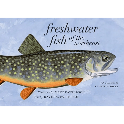 Freshwater Fish of the Northeast - Paperback - iShook Books