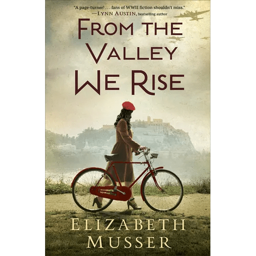 From the Valley We Rise - Paperback - iShook Books