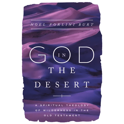 God in the Desert: A Spiritual Theology of Wilderness in the Old Testament - Paperback - iShook Books