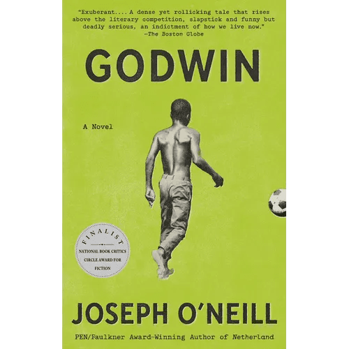 Godwin - Paperback - iShook Books