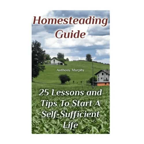 Homesteading Guide: 25 Lessons and Tips To Start A Self-Sufficient Life: (Homesteading for Beginners, Off-Grid Living) - Paperback - iShook Books