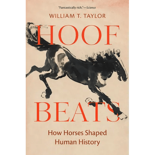 Hoof Beats: How Horses Shaped Human History - Paperback - iShook Books